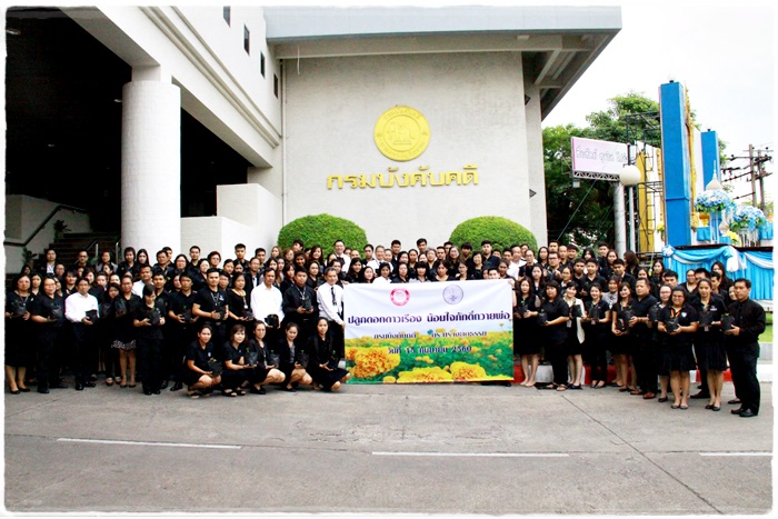 ﻿กรมบังคับคดีจัดกิจกรรมปลูกดอกดาวเรือง น้อมใจภักดิ์ถวายพ่อ